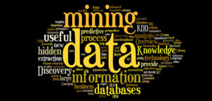 Data Mining Services