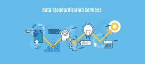 Data Standardization Services